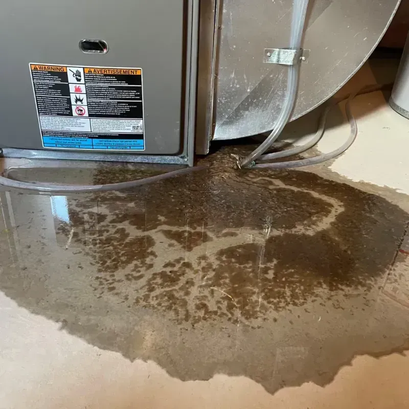 Appliance Leak Cleanup in Lakeside, VA